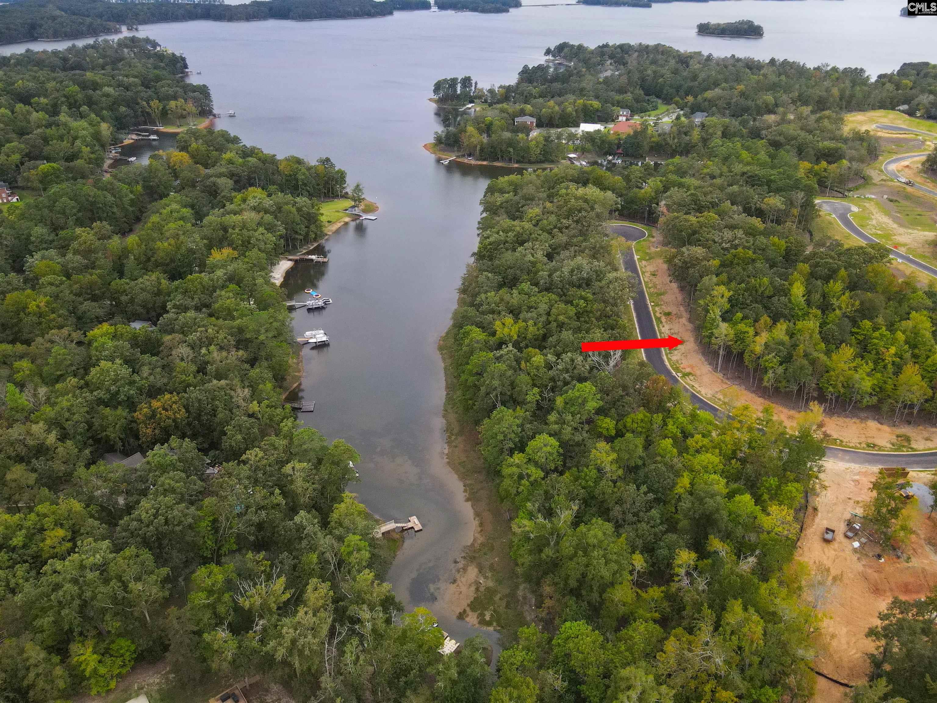 1064 Refuge Place, Chapin, South Carolina image 30