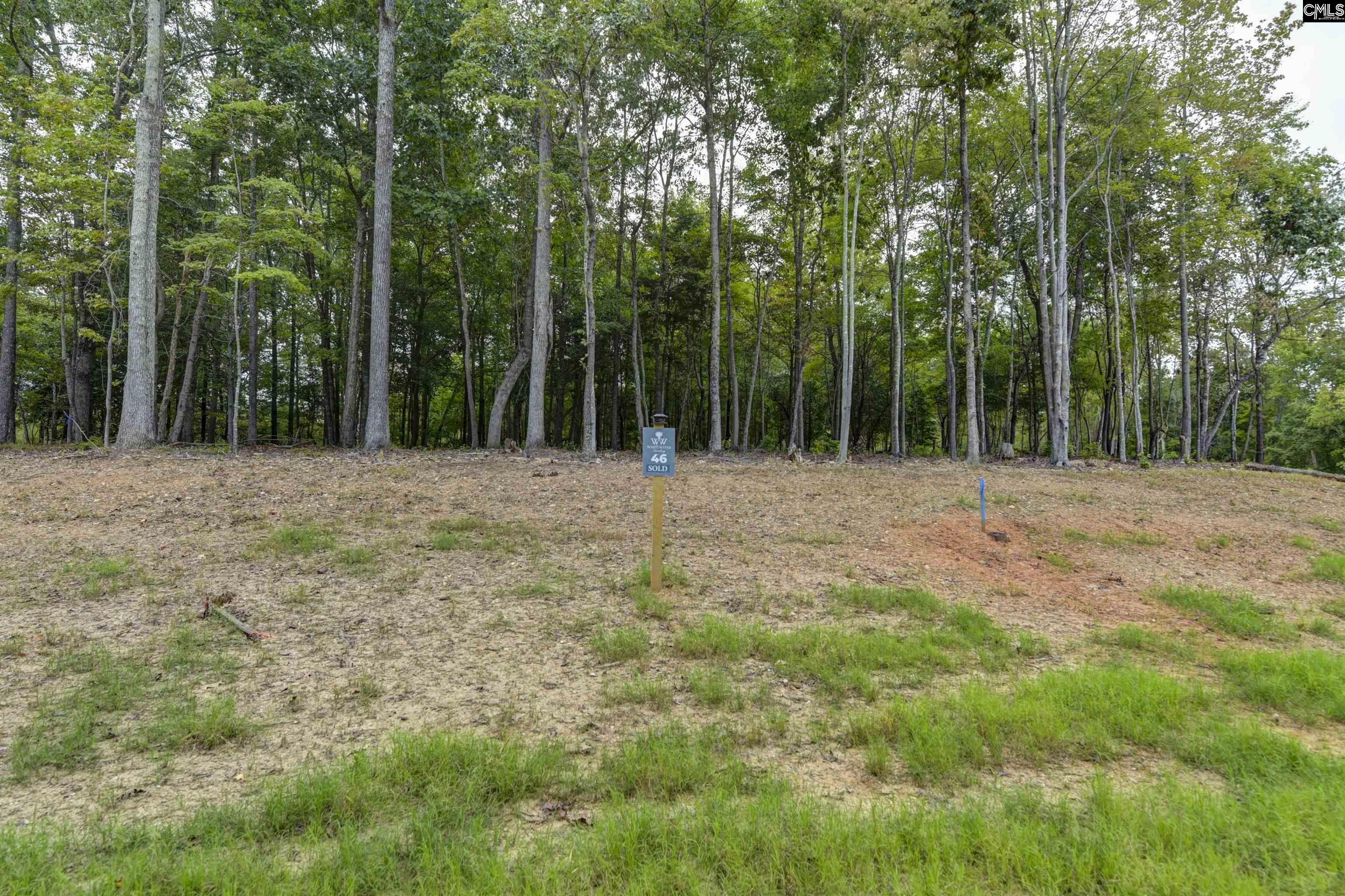 1064 Refuge Place, Chapin, South Carolina image 7