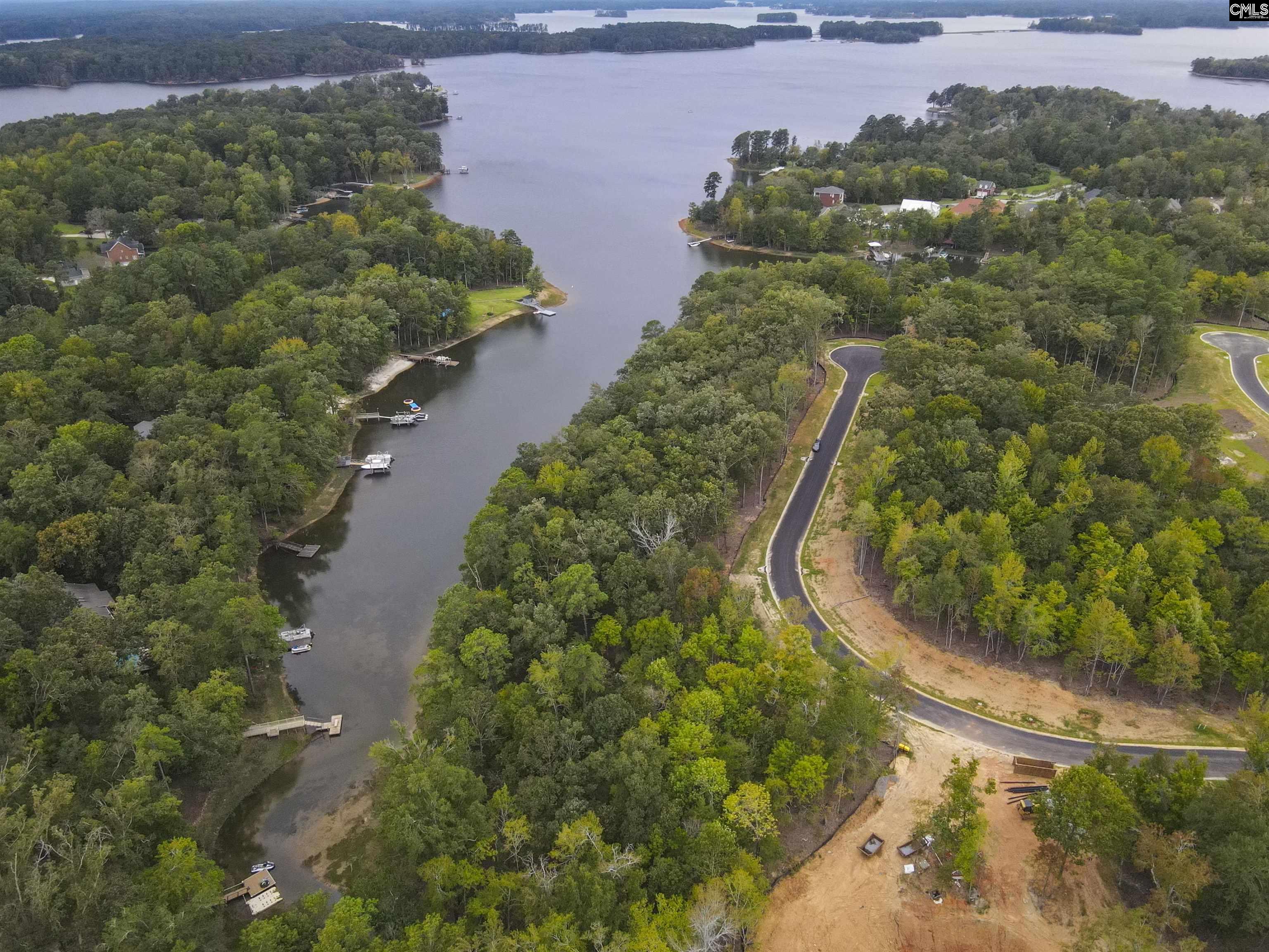 1064 Refuge Place, Chapin, South Carolina image 8