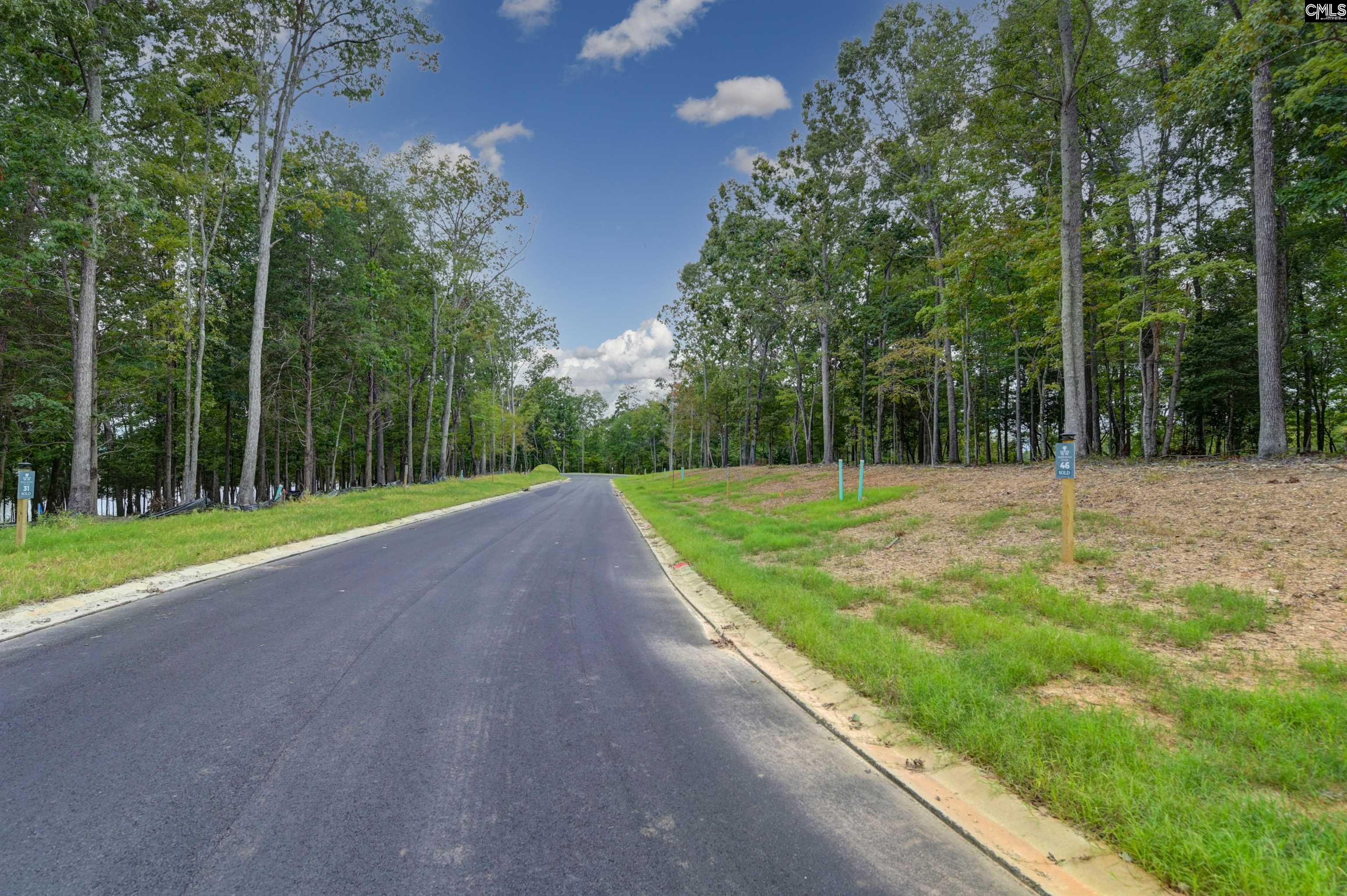 1064 Refuge Place, Chapin, South Carolina image 10
