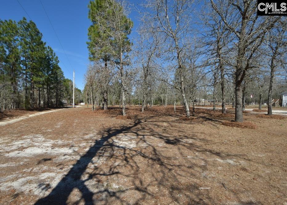 349 Sandspur Road, Pelion, South Carolina image 8