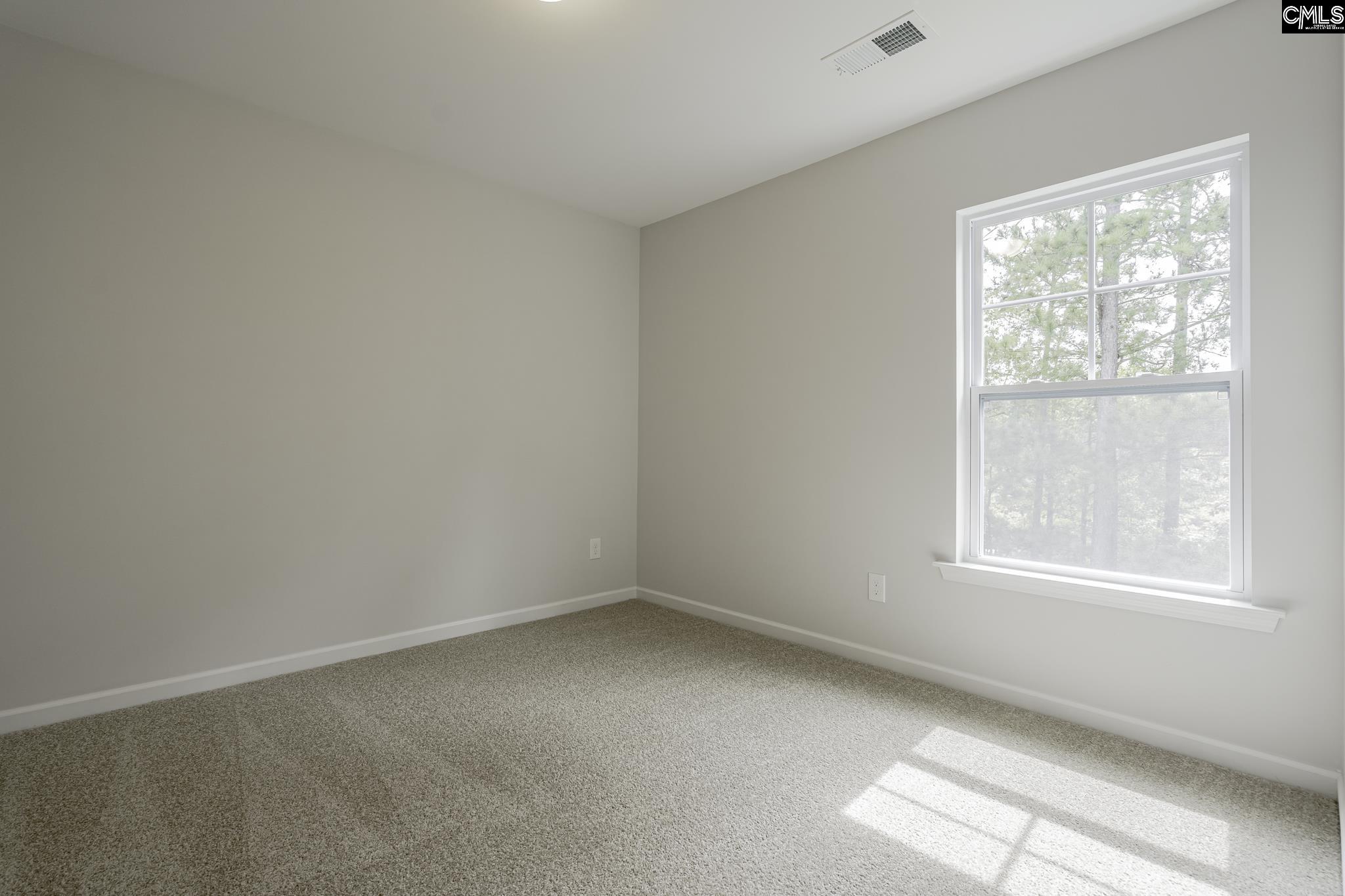 226 Boseman Road, Irmo, South Carolina image 20