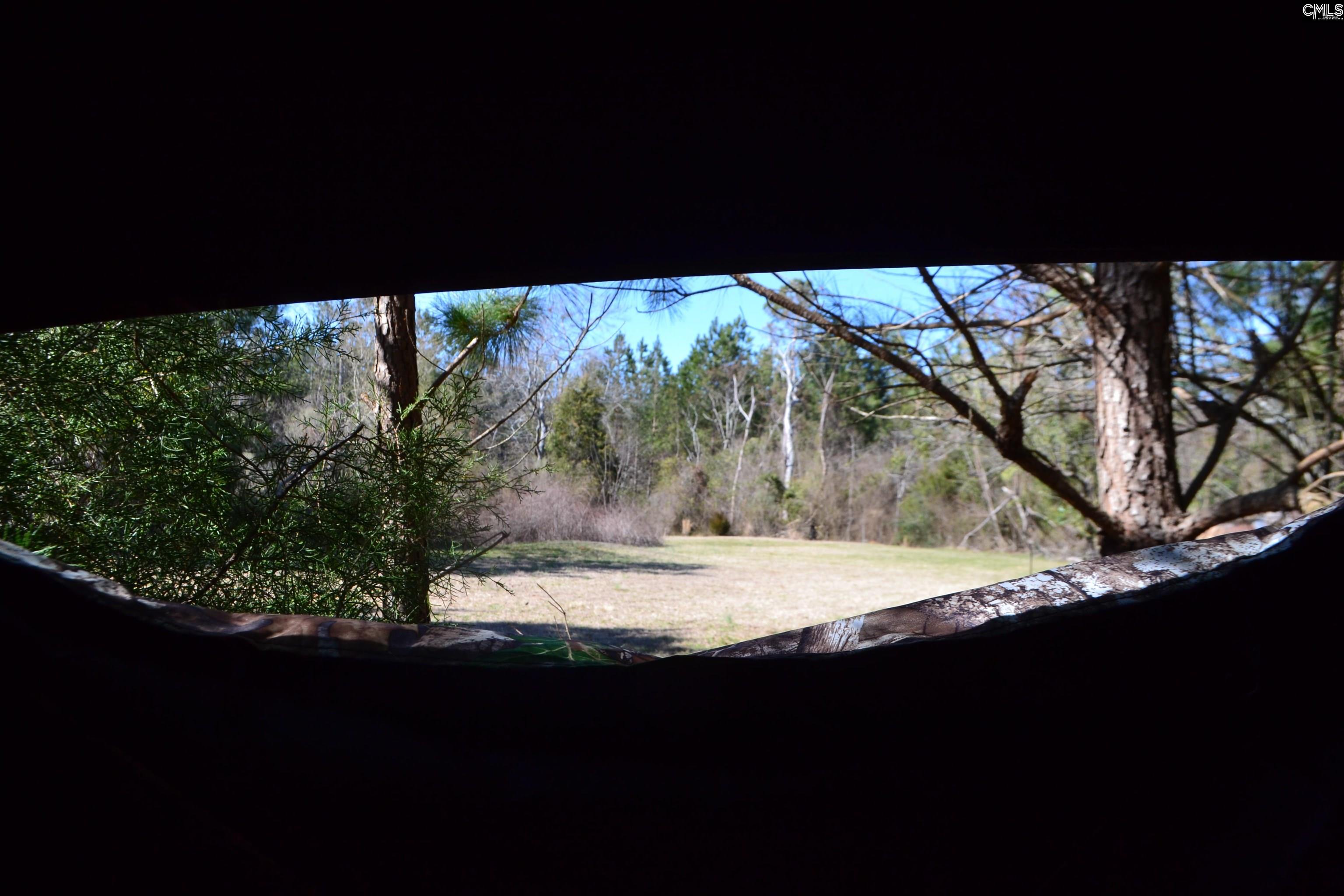 1535 Grapevine Road, Batesburg, South Carolina image 13