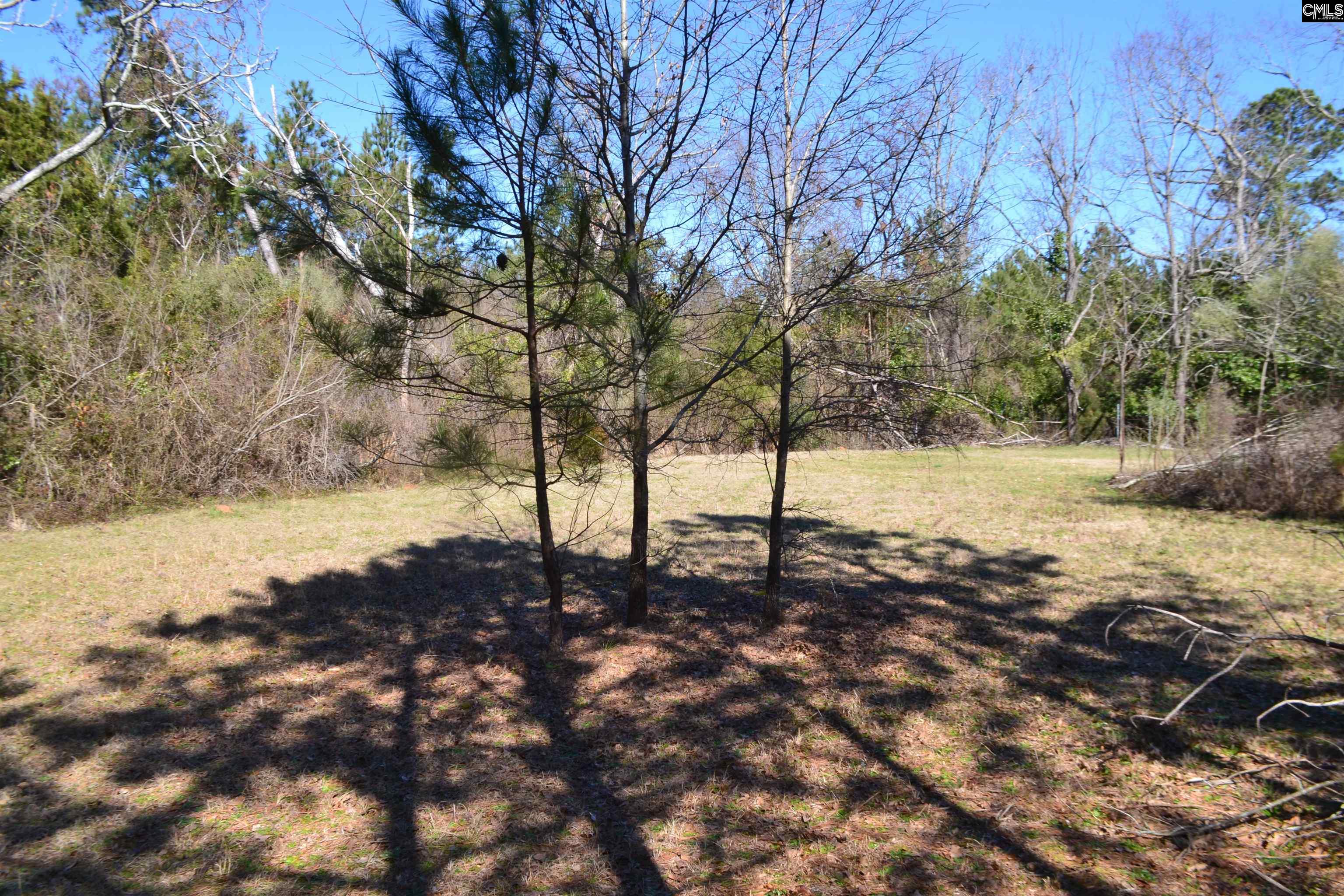 1535 Grapevine Road, Batesburg, South Carolina image 16