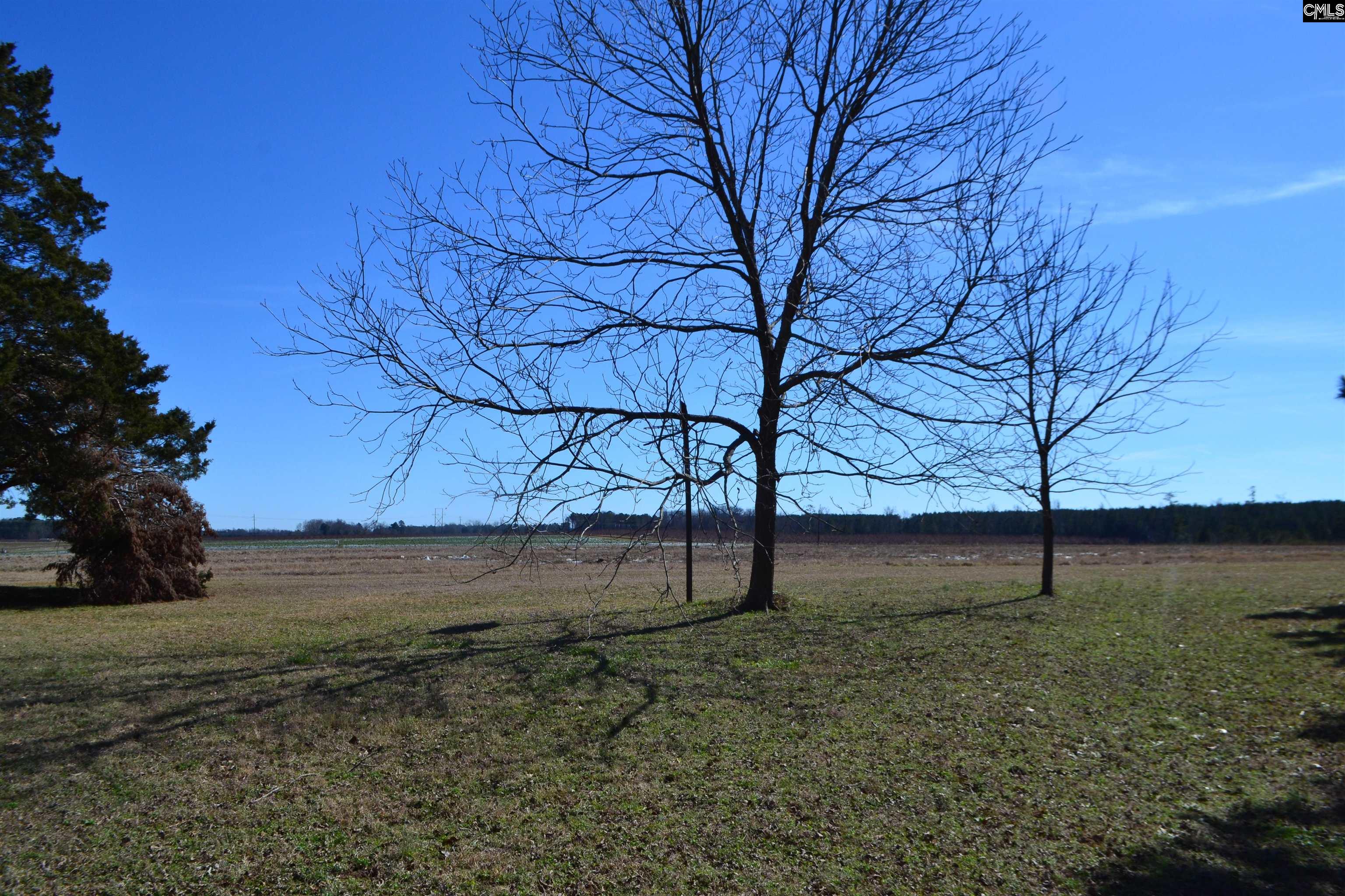 1535 Grapevine Road, Batesburg, South Carolina image 18