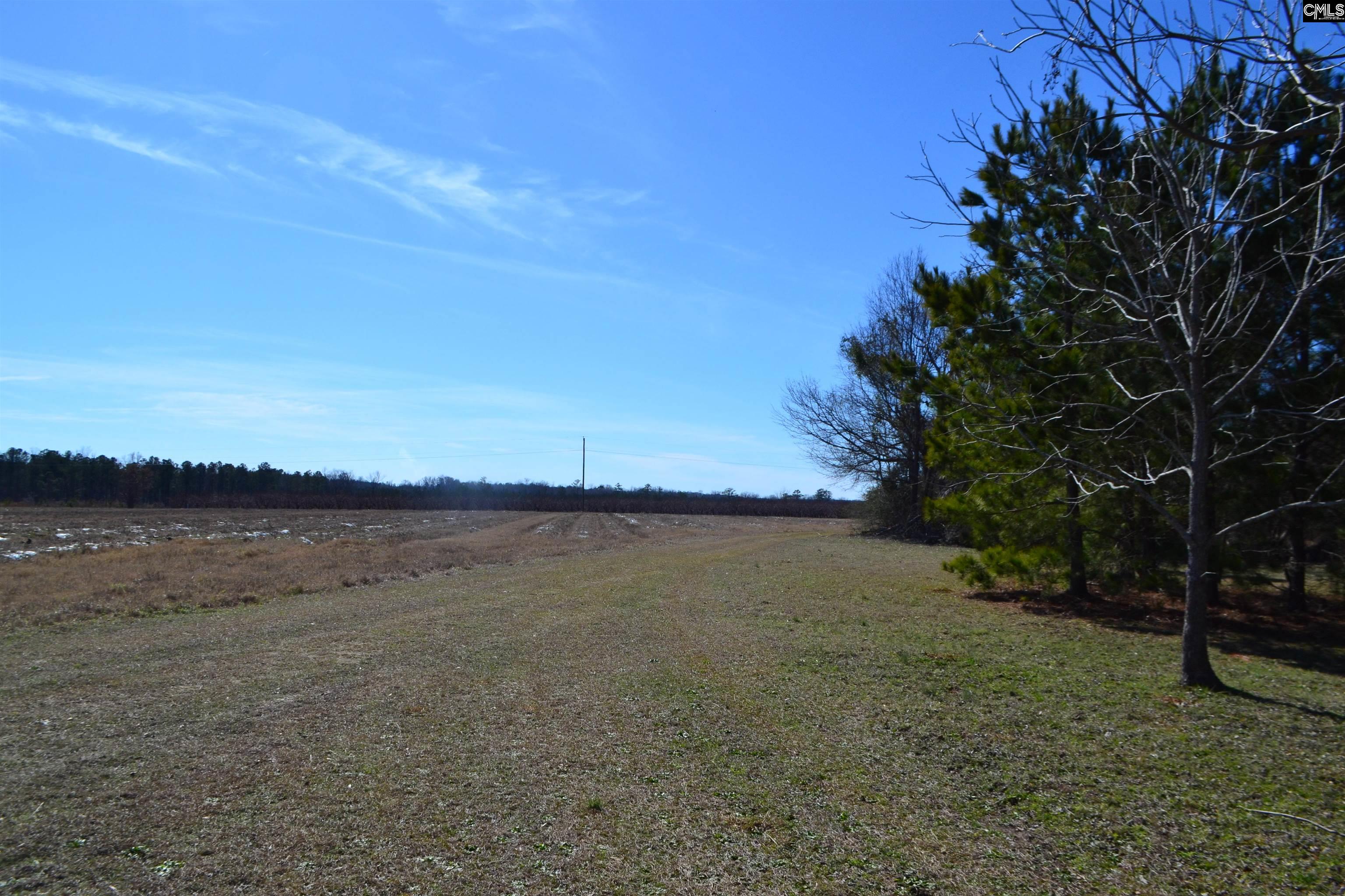 1535 Grapevine Road, Batesburg, South Carolina image 20
