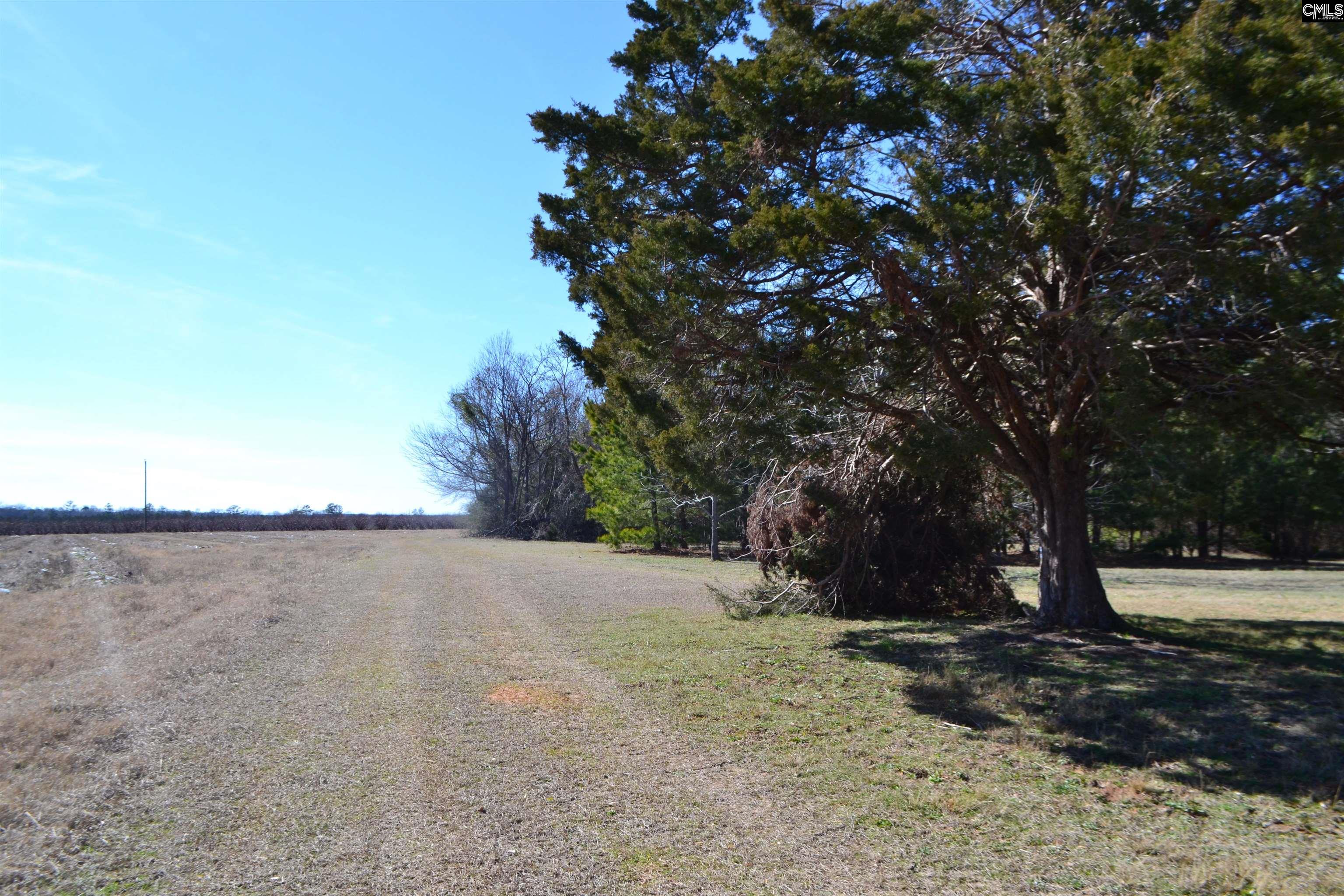 1535 Grapevine Road, Batesburg, South Carolina image 21