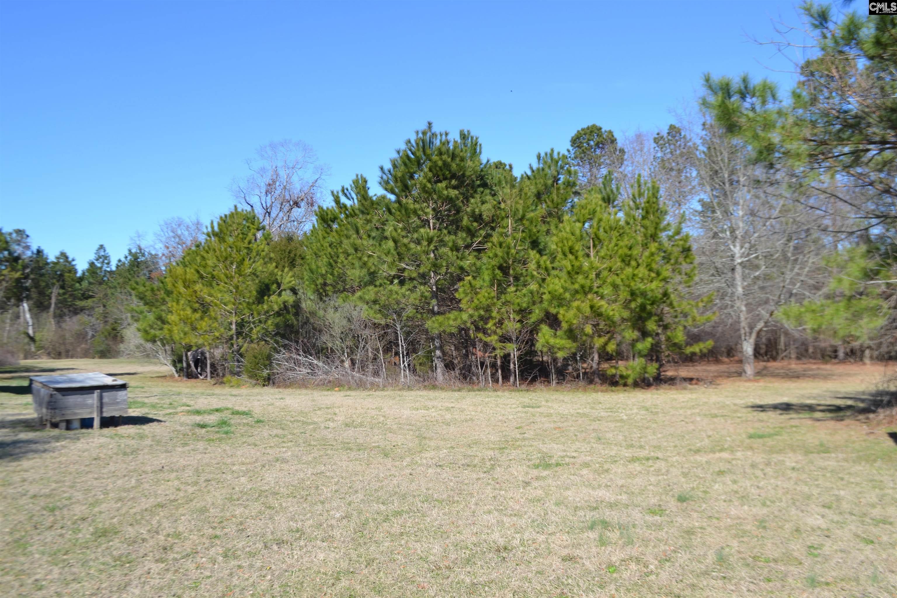 1535 Grapevine Road, Batesburg, South Carolina image 6