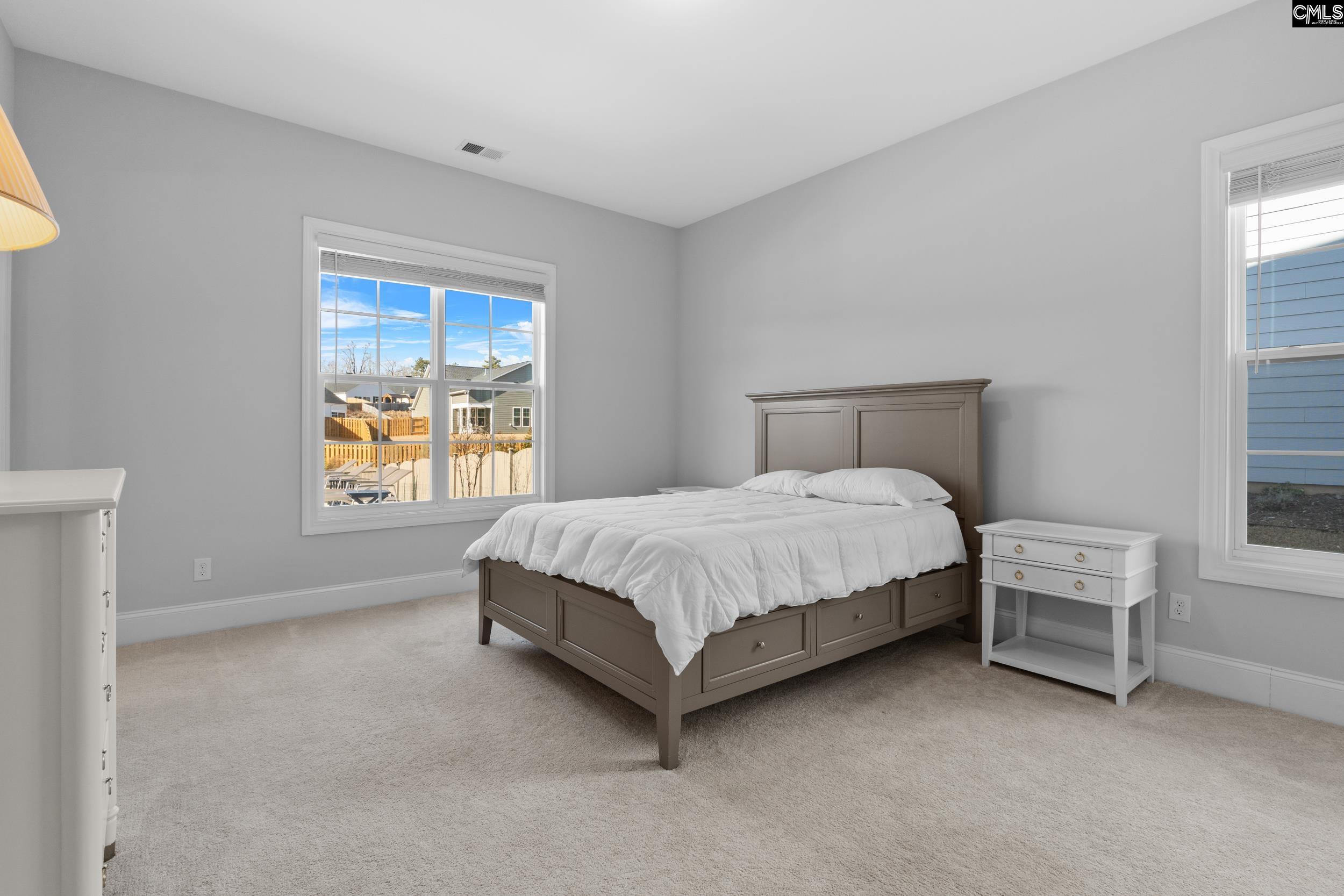 2107 Ludlow Place Chapin, SC 29036