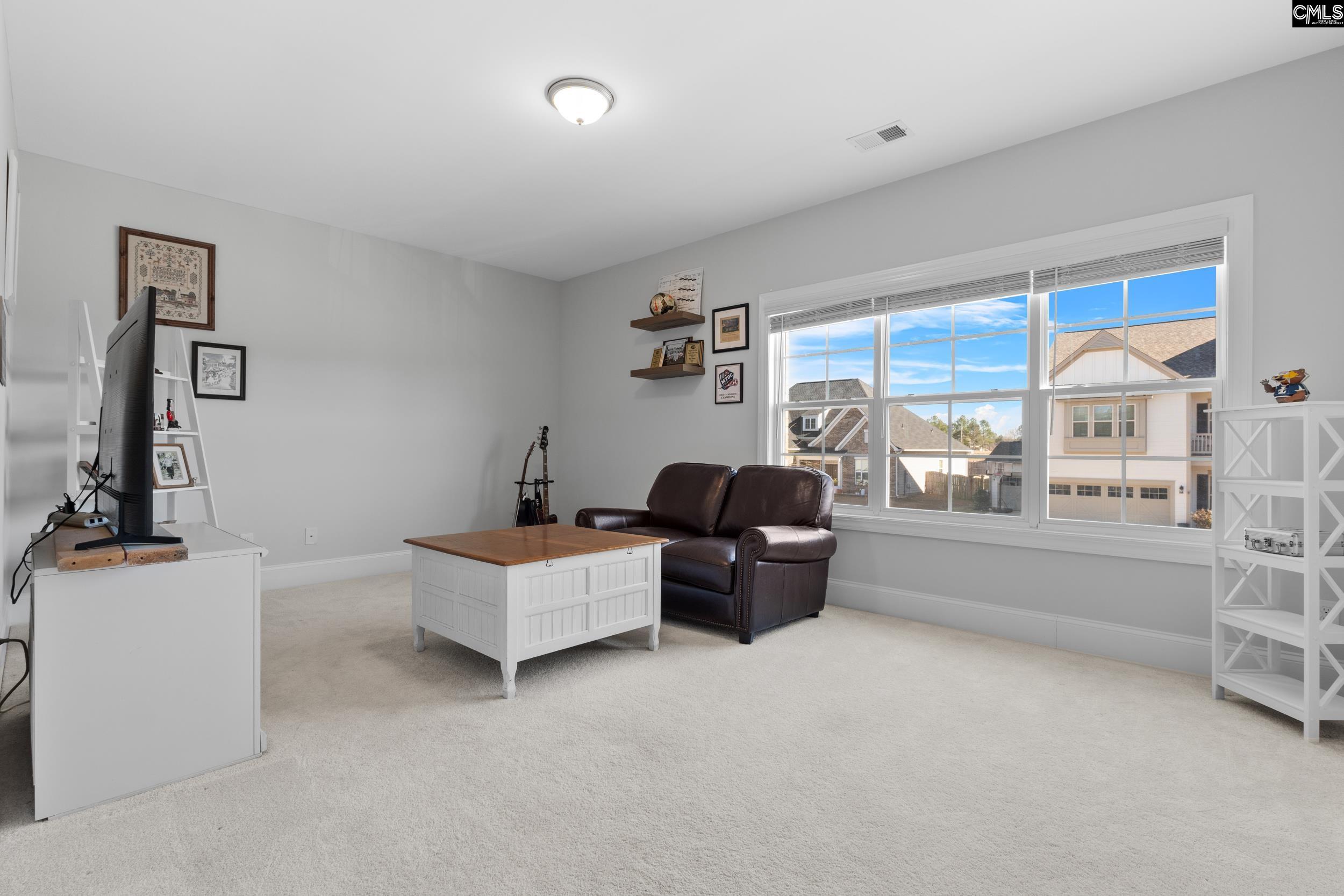 2107 Ludlow Place Chapin, SC 29036