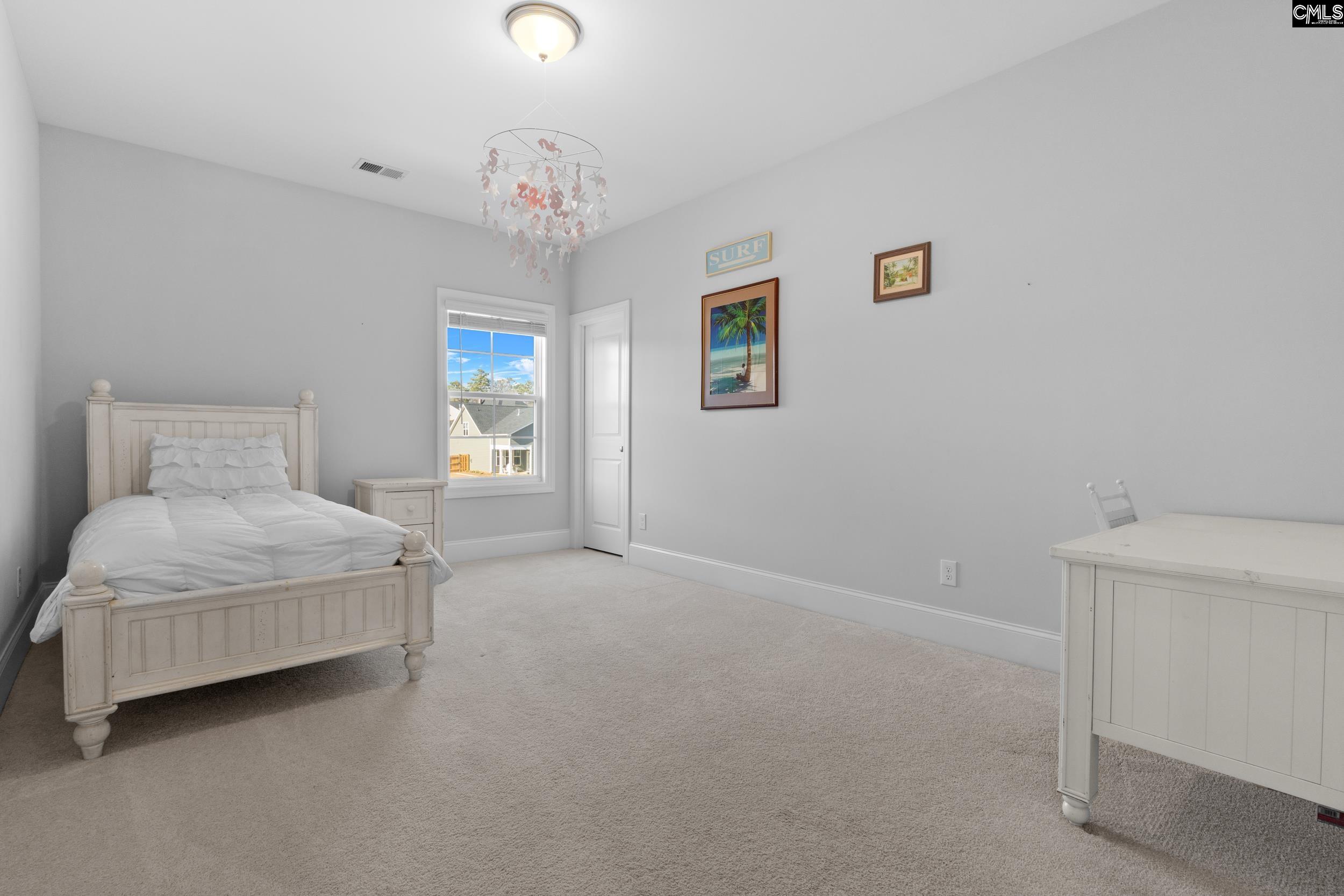 2107 Ludlow Place Chapin, SC 29036