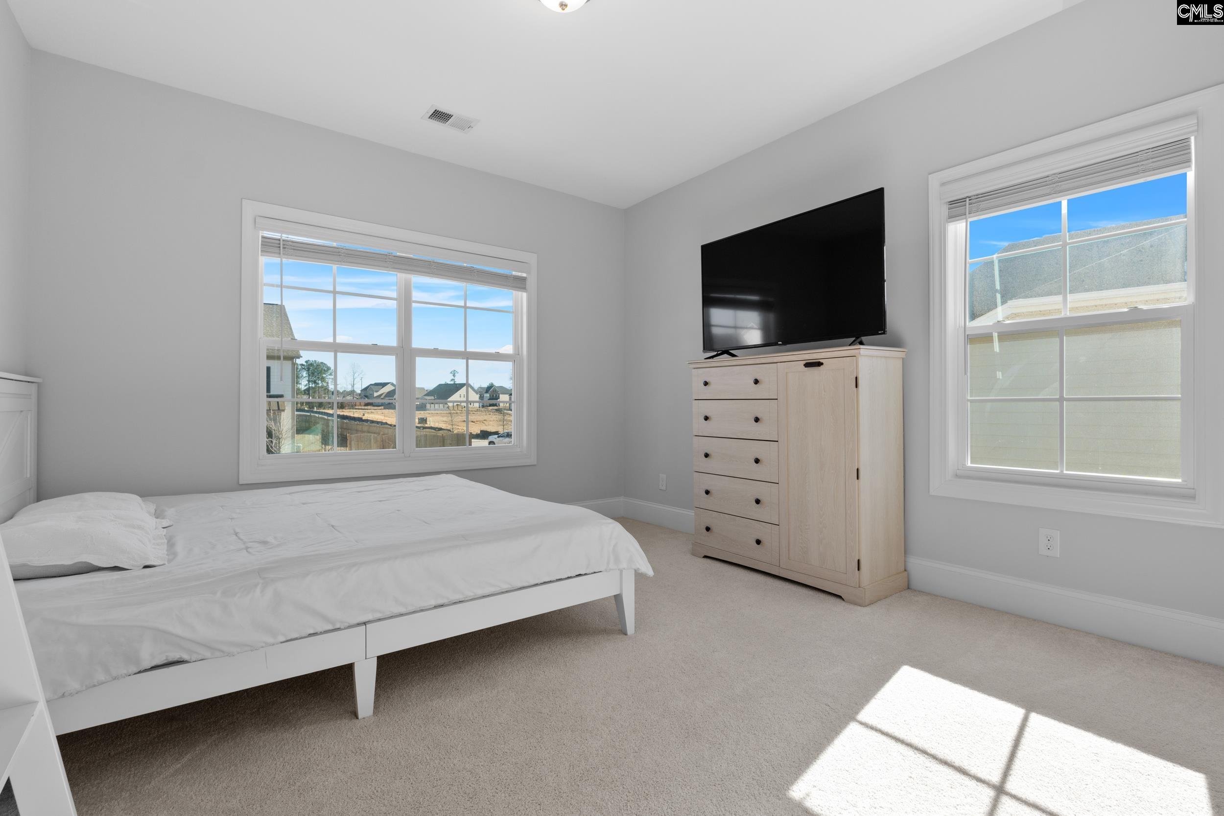 2107 Ludlow Place Chapin, SC 29036