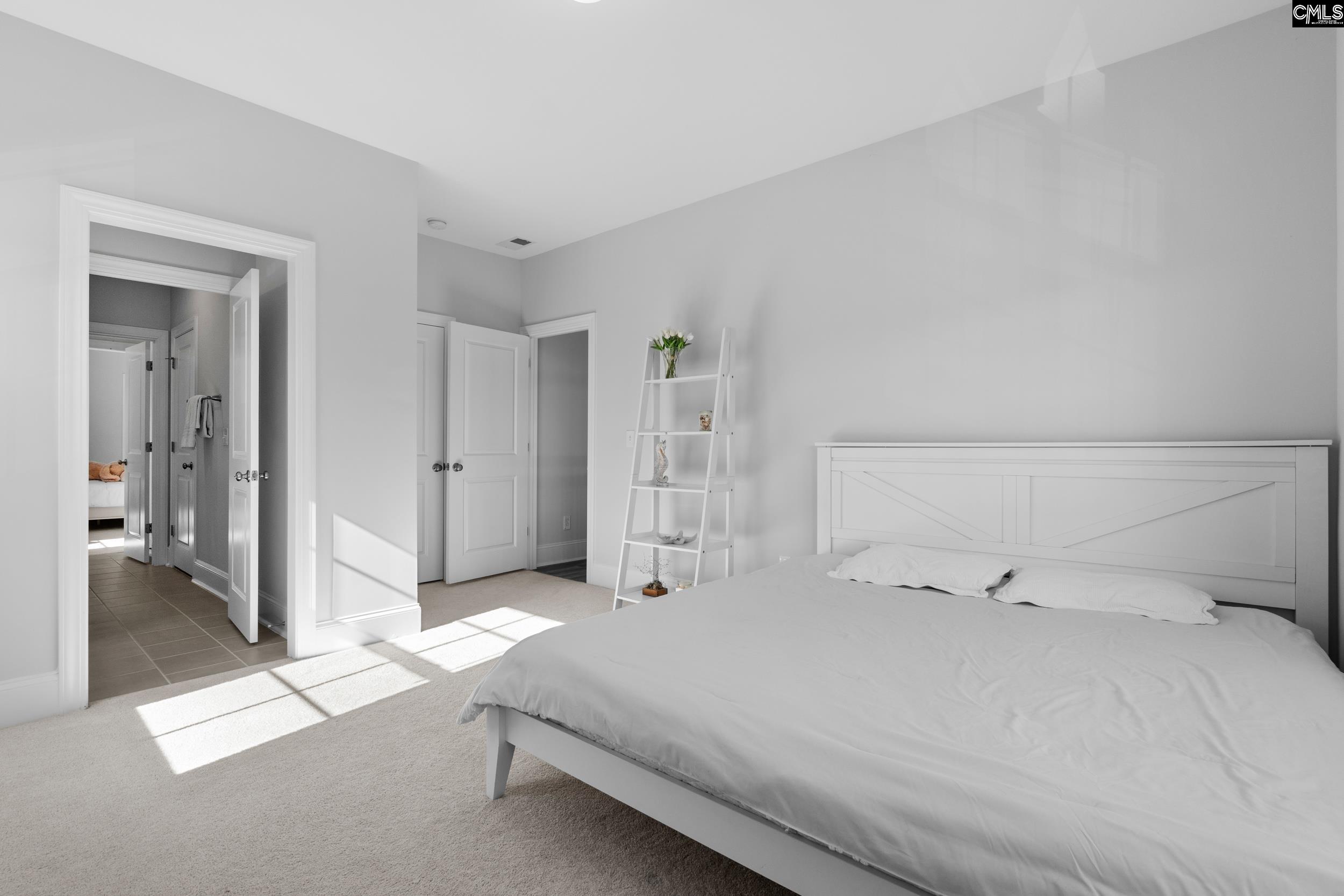 2107 Ludlow Place Chapin, SC 29036