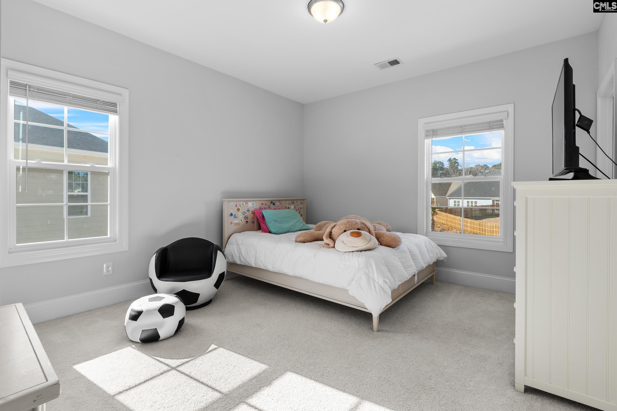 2107 Ludlow Place Chapin, SC 29036