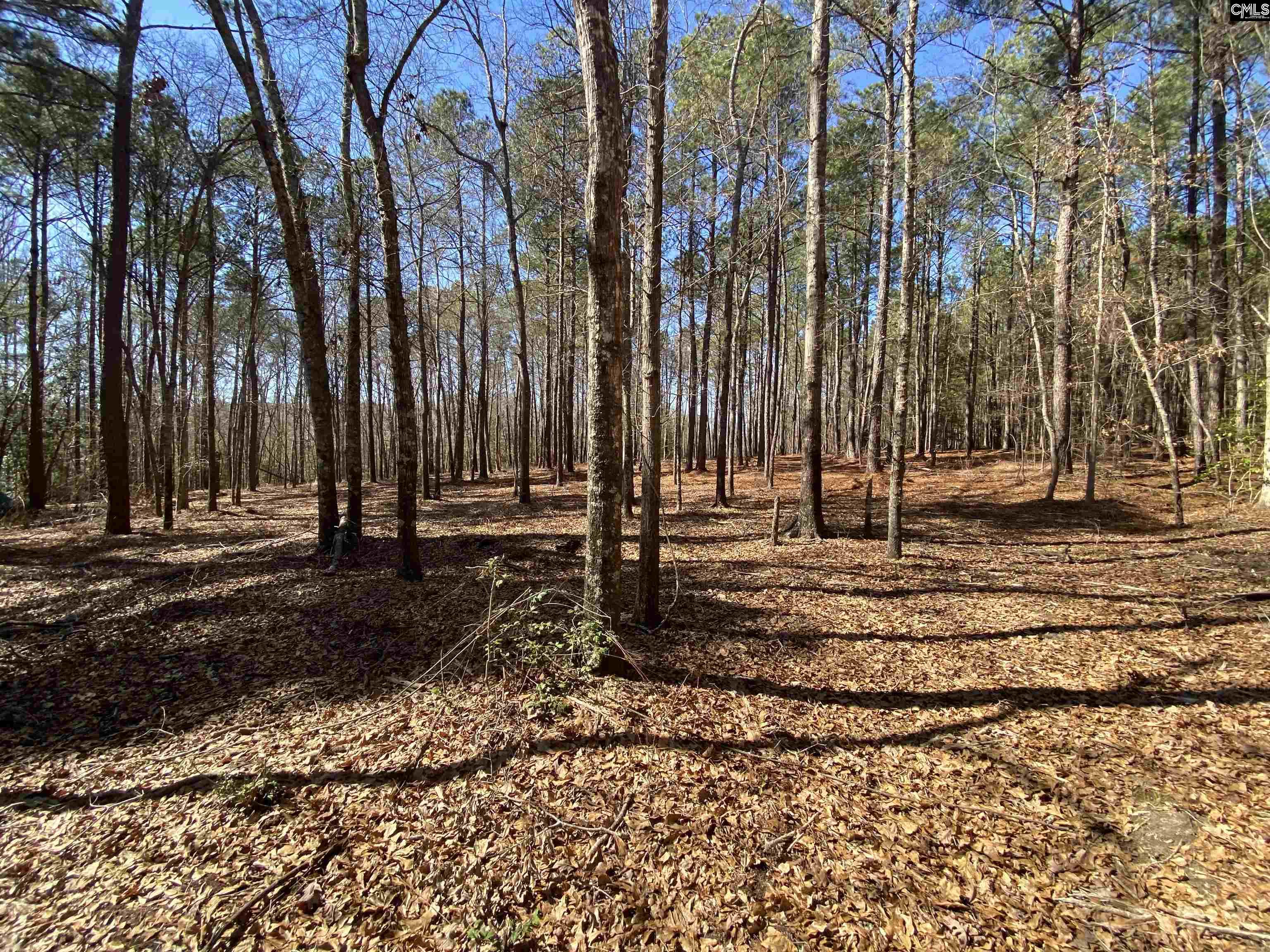 15 Mimosa Lane Lugoff, SC 29078-0000
