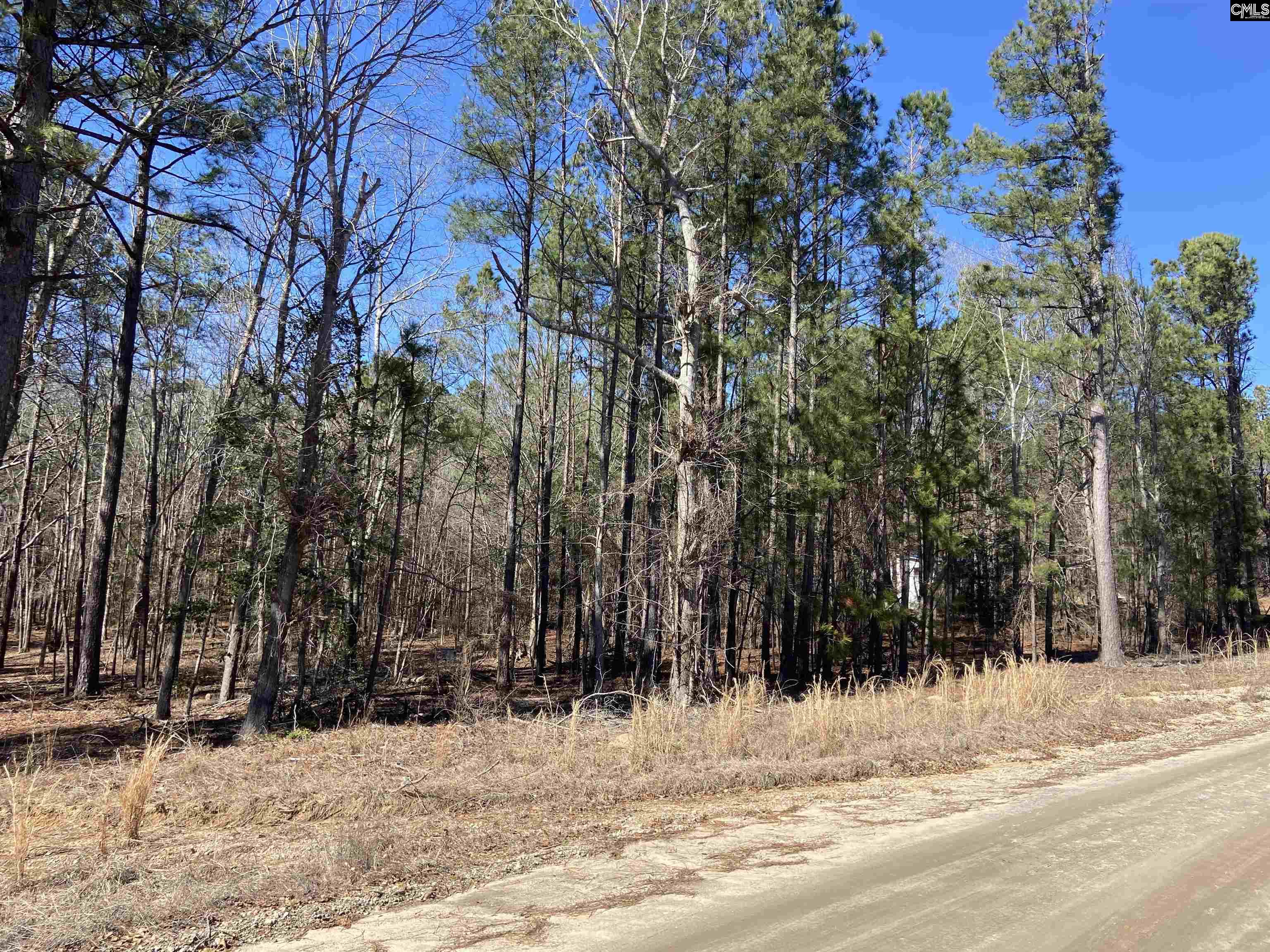 15 Mimosa Lane Lugoff, SC 29078-0000