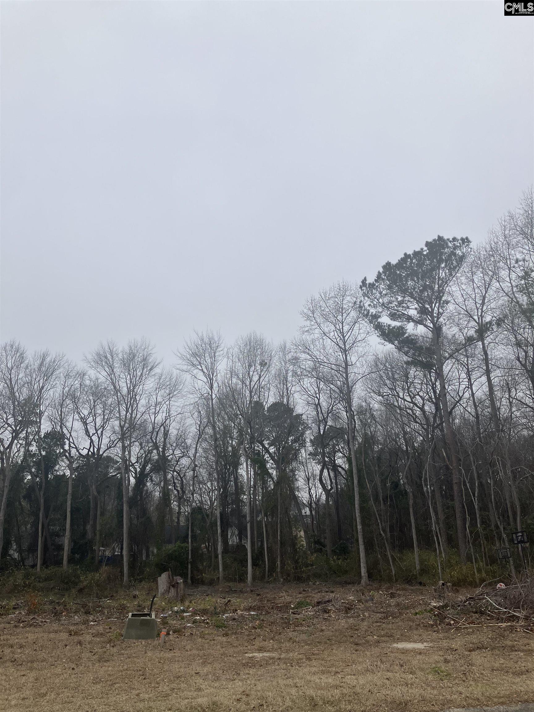 W/s Cranley Road UNIT #16 Columbia, SC 29229