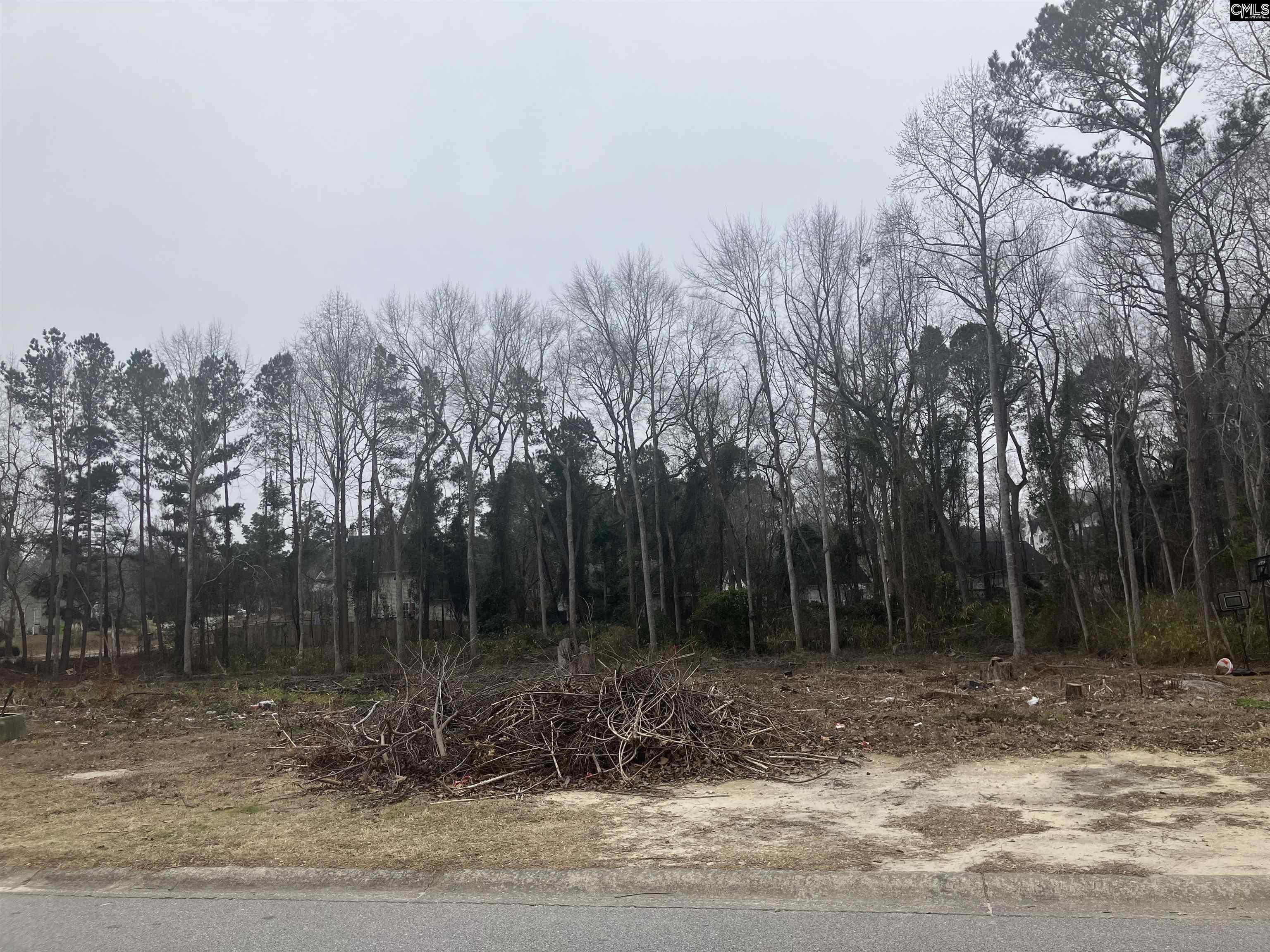 W/s Cranley Road UNIT #16 Columbia, SC 29229