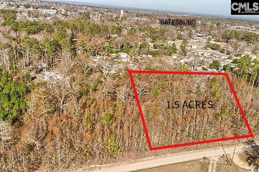 Forest Drive Leesville, SC 29070