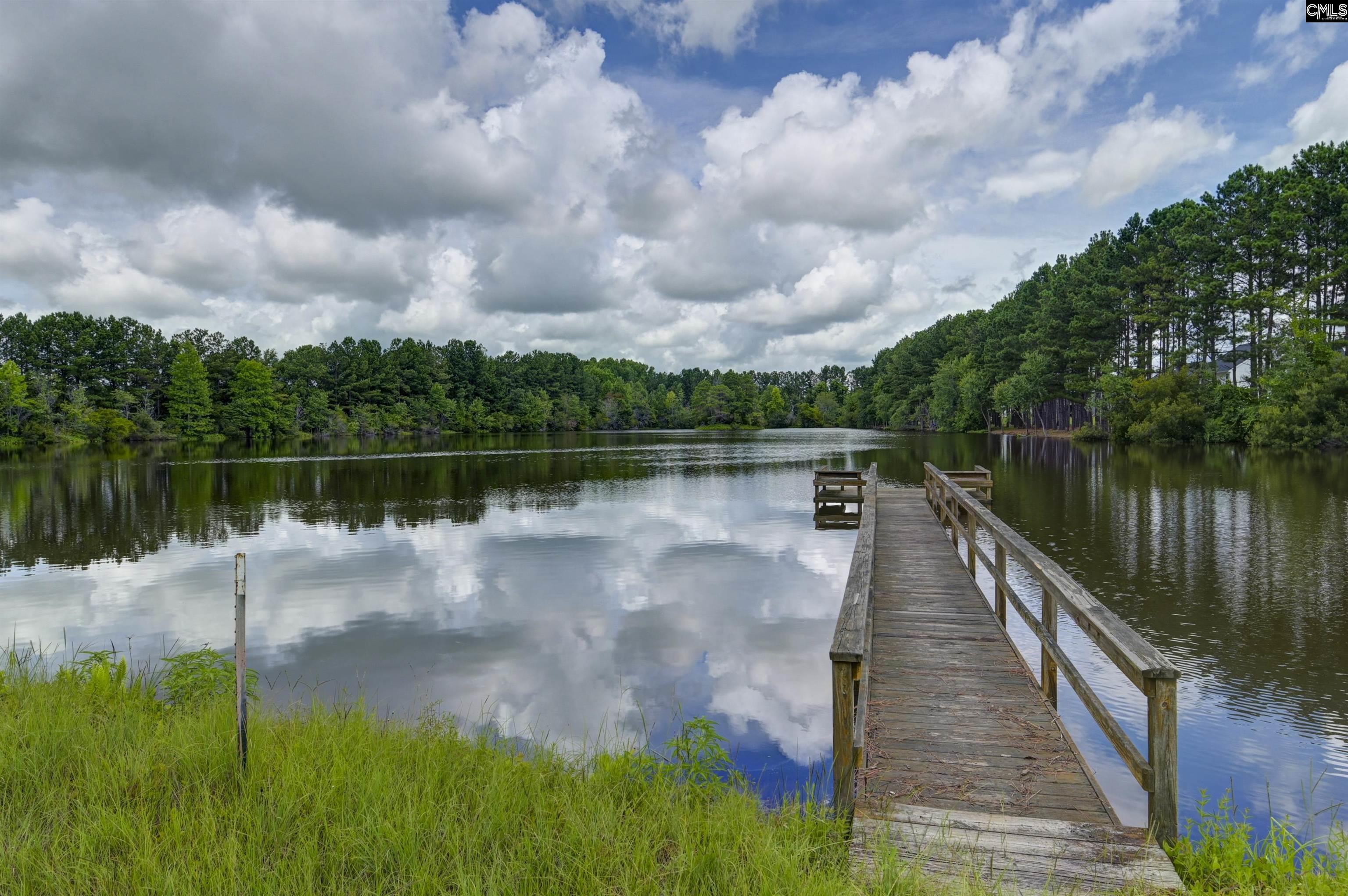 106 Tawney Forest Road, Blythewood, South Carolina image 27