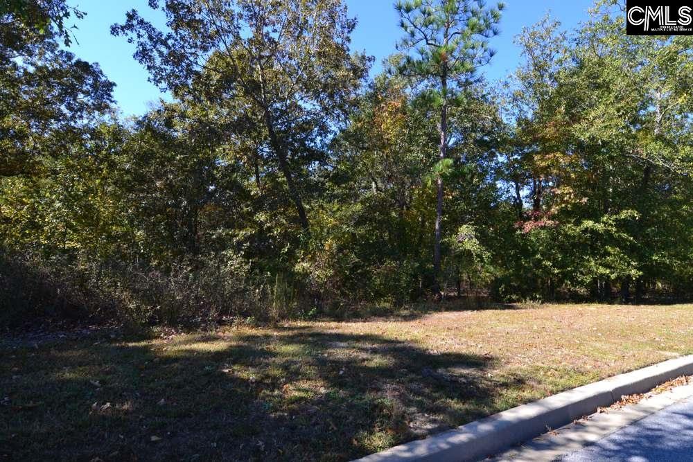 121 Montgomery Ridge Lane UNIT #4 Blythewood, SC 29016
