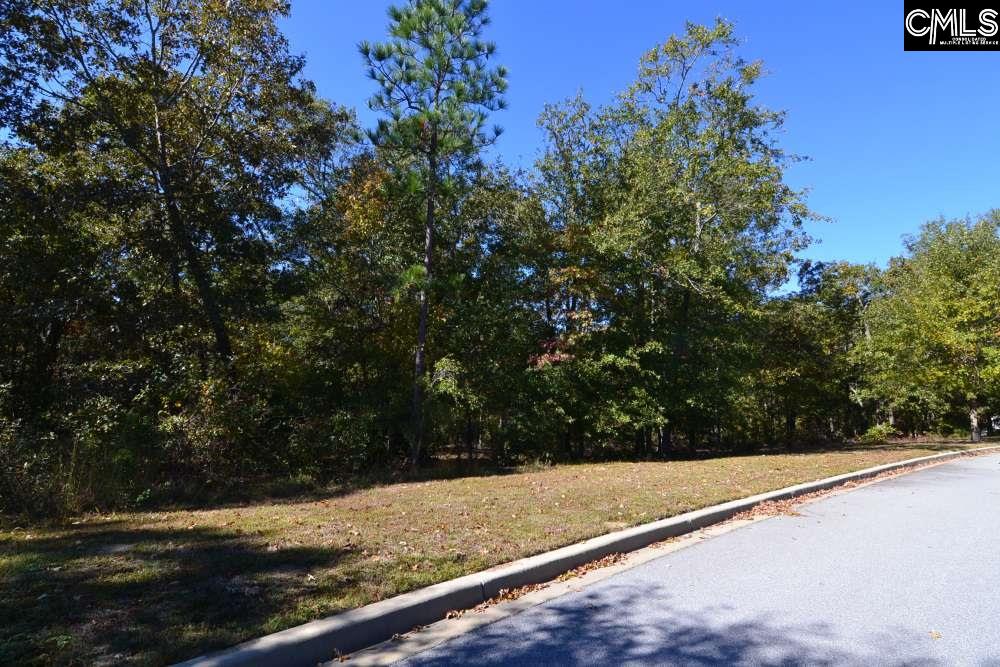 121 Montgomery Ridge Lane UNIT #4 Blythewood, SC 29016