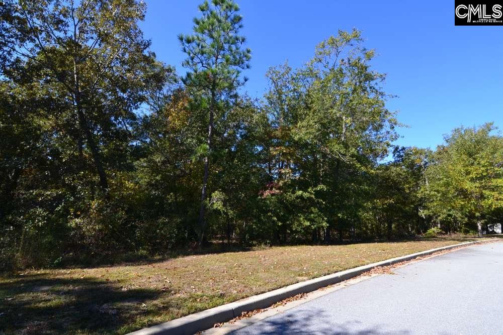 121 Montgomery Ridge Lane UNIT #4 Blythewood, SC 29016