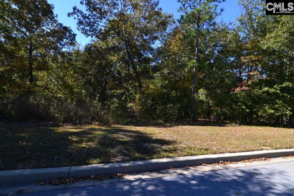 121 Montgomery Ridge Lane UNIT #4 Blythewood, SC 29016