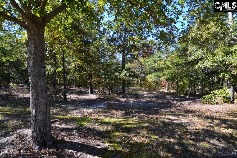 121 Montgomery Ridge Lane UNIT #4 Blythewood, SC 29016