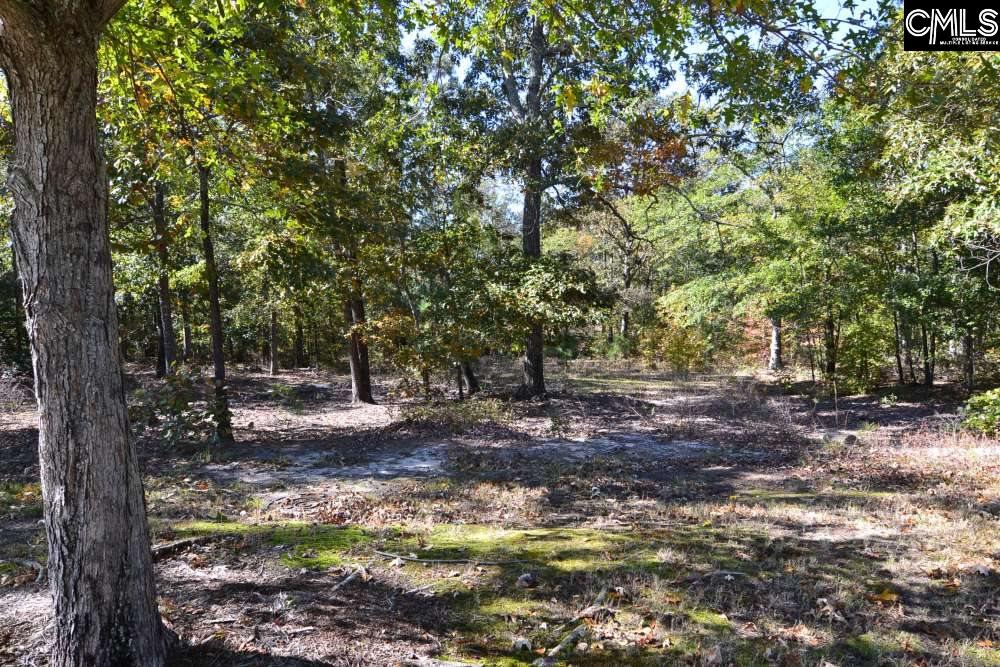 121 Montgomery Ridge Lane UNIT #4 Blythewood, SC 29016