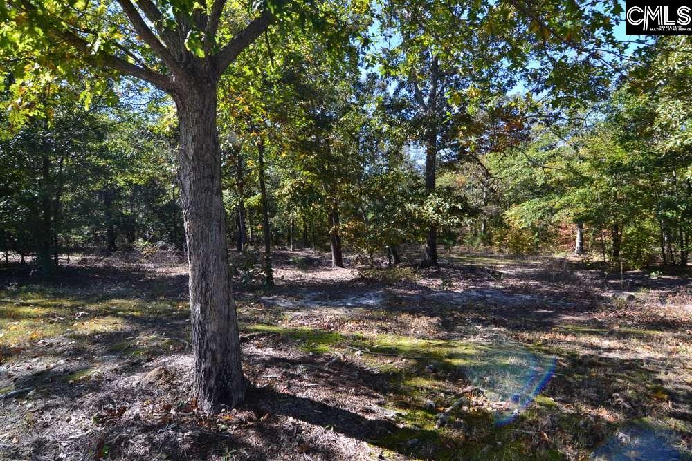 121 Montgomery Ridge Lane UNIT #4 Blythewood, SC 29016