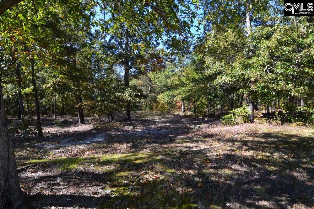 121 Montgomery Ridge Lane UNIT #4 Blythewood, SC 29016