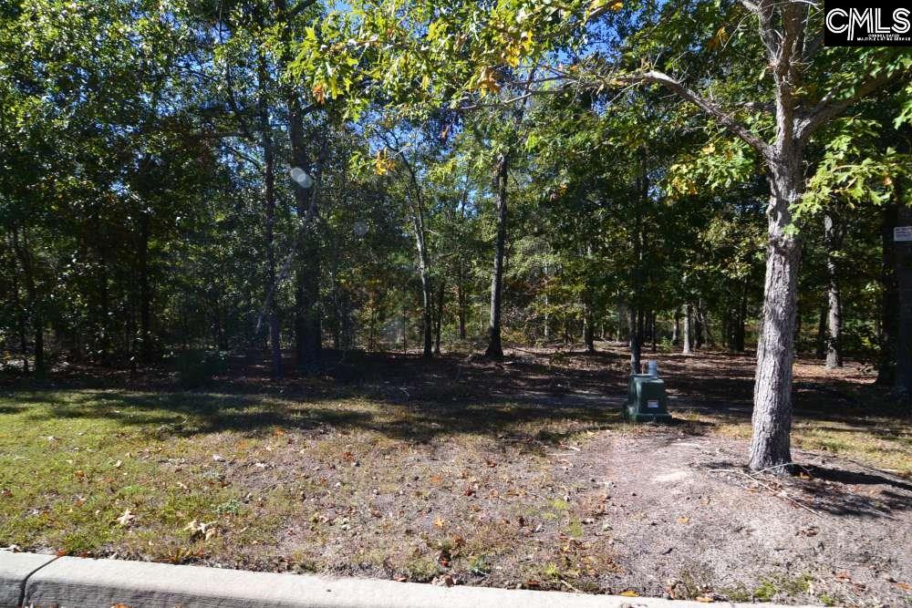 121 Montgomery Ridge Lane UNIT #4 Blythewood, SC 29016