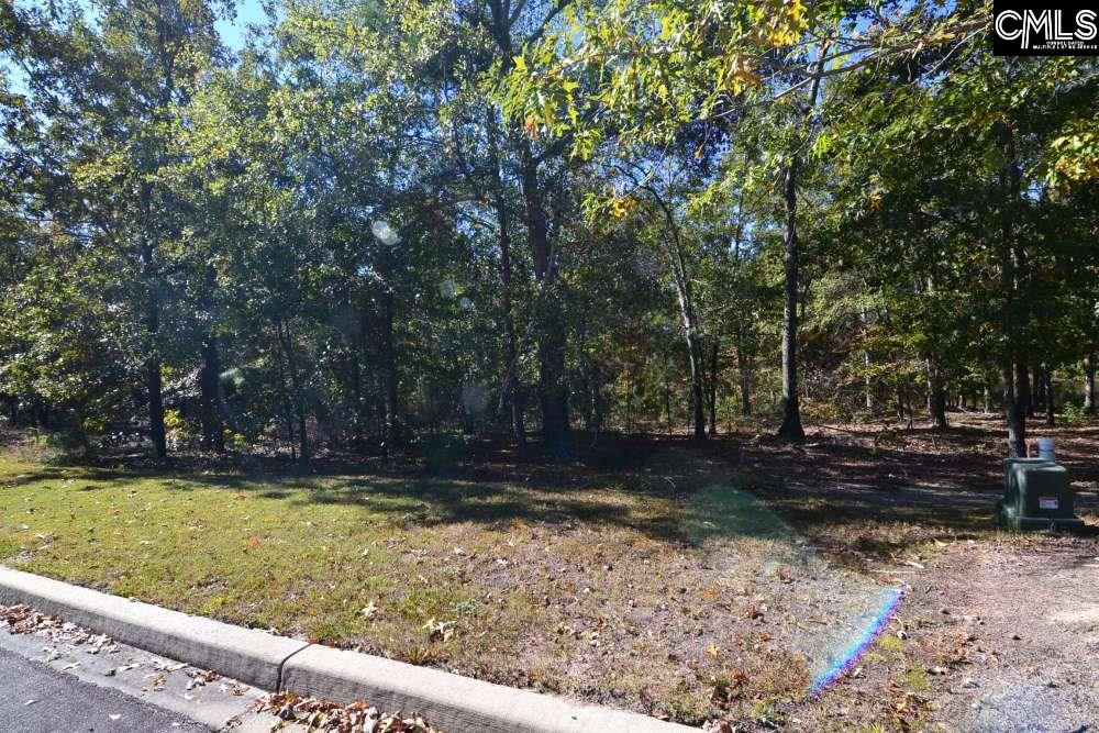 121 Montgomery Ridge Lane UNIT #4 Blythewood, SC 29016