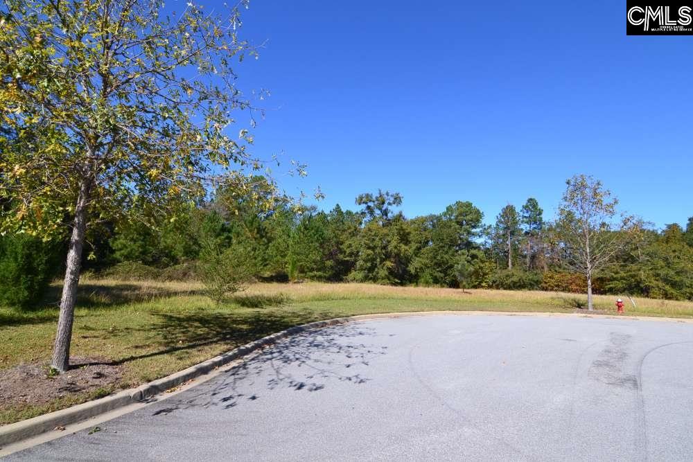 15 Blythe View Court, Blythewood, South Carolina image 5