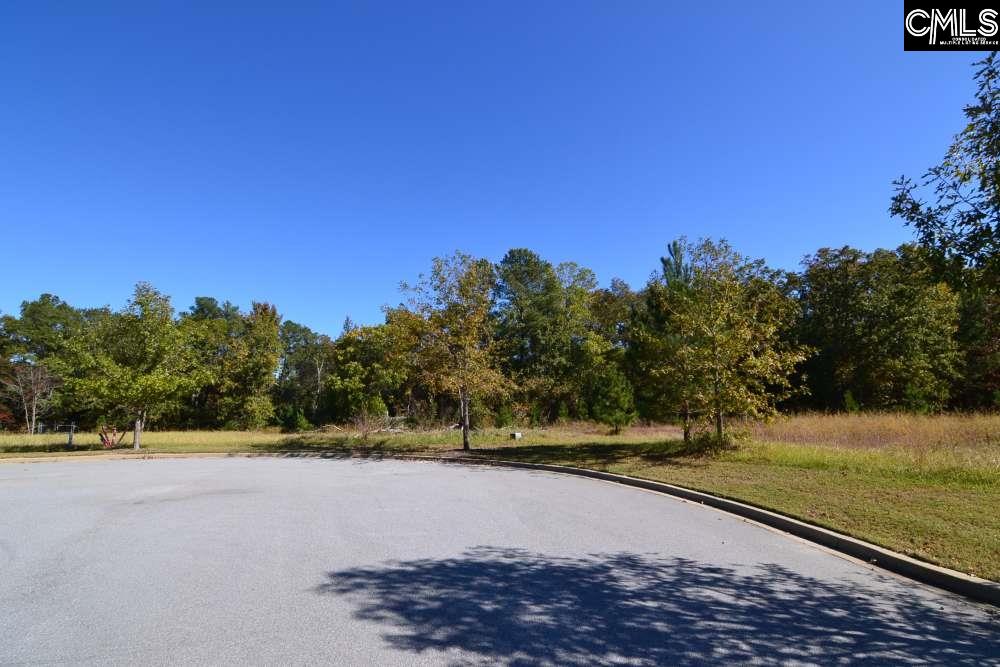 10 Blythe View Court UNIT #13 Blythewood, SC 29016