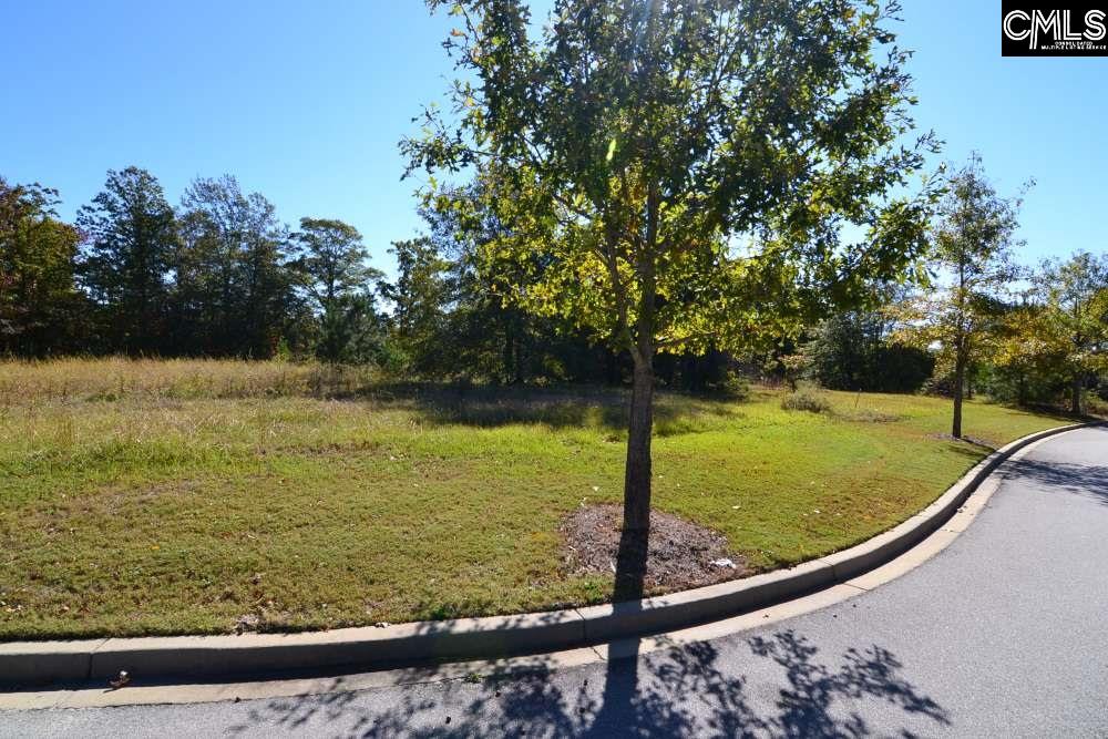 10 Blythe View Court, Blythewood, South Carolina image 2