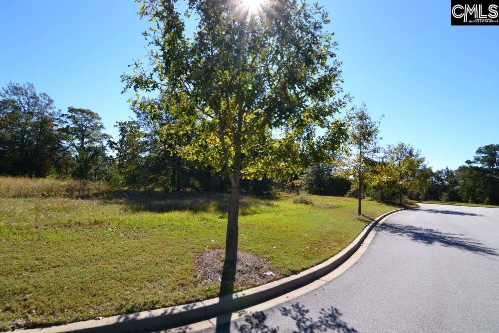 10 Blythe View Court, Blythewood, South Carolina image 4