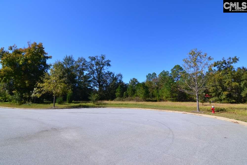 10 Blythe View Court, Blythewood, South Carolina image 5