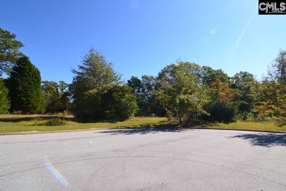 6 Blythe View Court UNIT #14 Blythewood, SC 29016