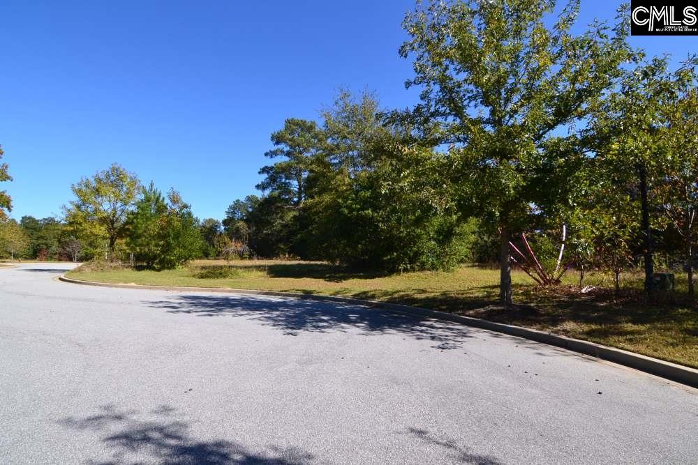 6 Blythe View Court UNIT #14 Blythewood, SC 29016