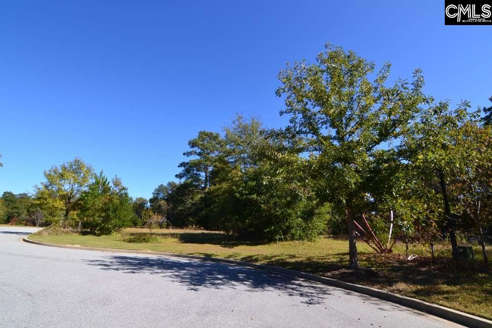 6 Blythe View Court UNIT #14 Blythewood, SC 29016