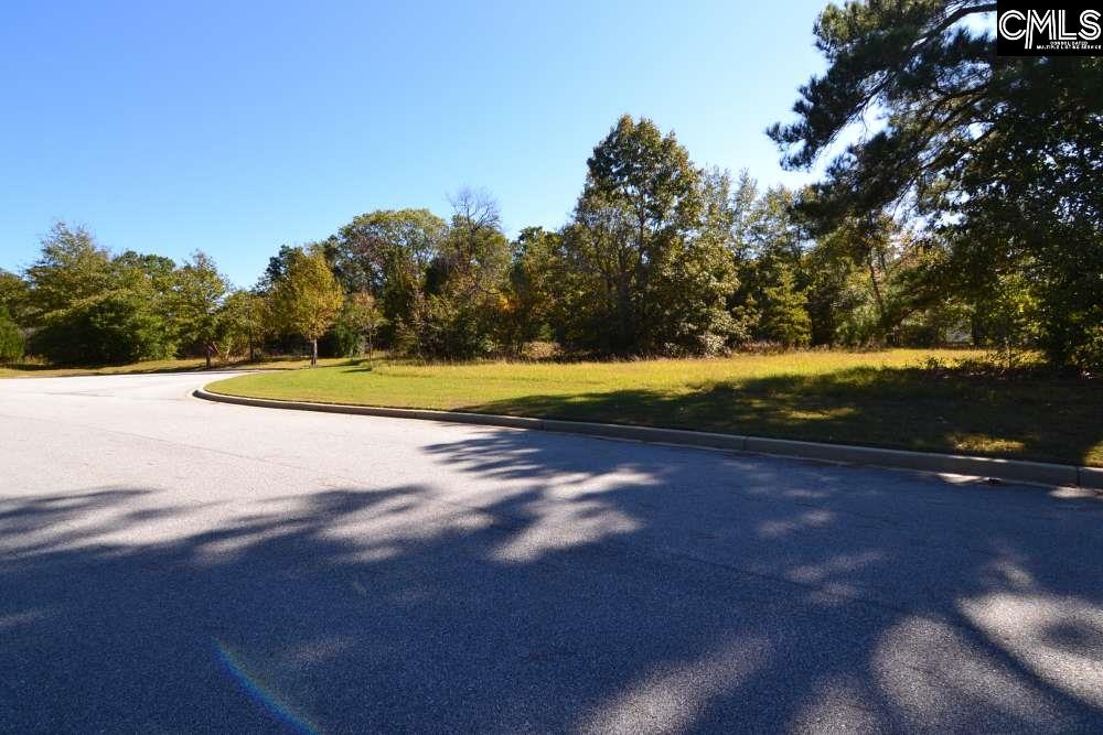 6 Blythe View Court UNIT #14 Blythewood, SC 29016