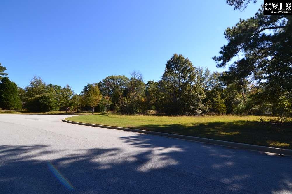 6 Blythe View Court UNIT #14 Blythewood, SC 29016