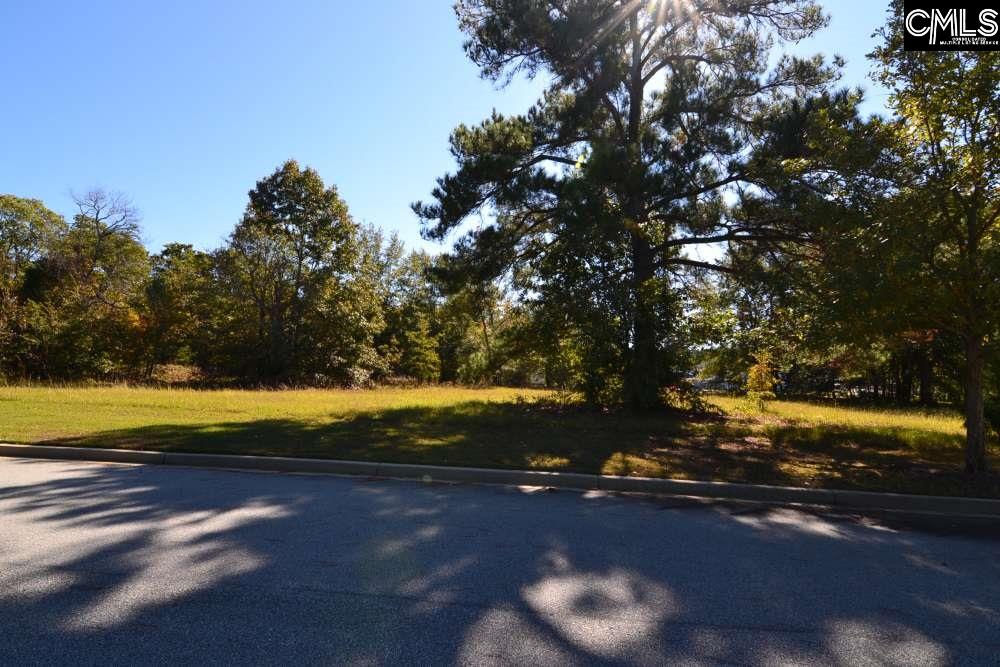 6 Blythe View Court UNIT #14 Blythewood, SC 29016
