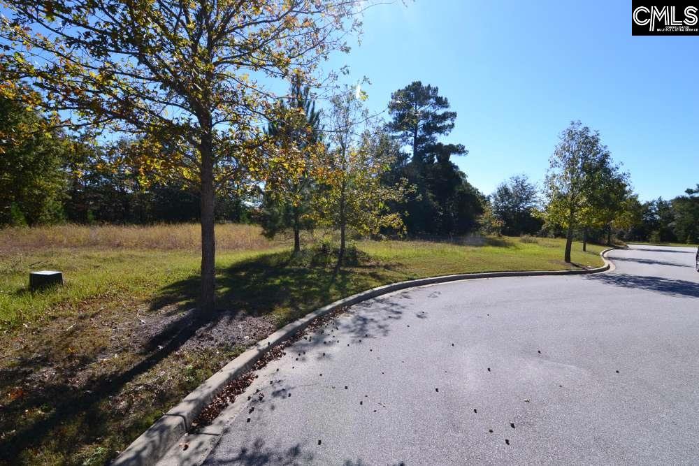 6 Blythe View Court UNIT #14 Blythewood, SC 29016