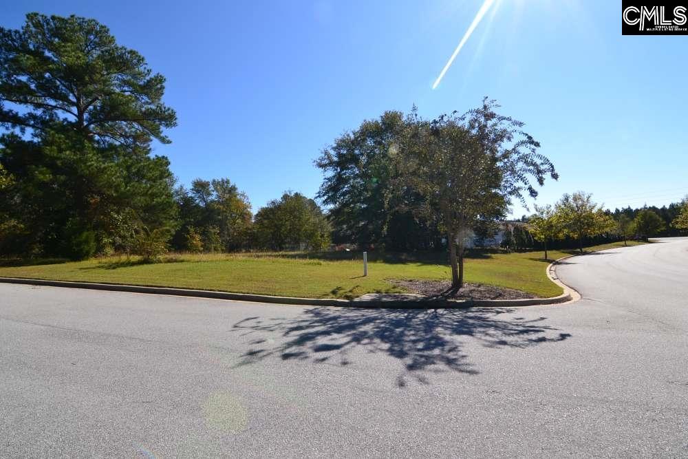 6 Blythe View Court UNIT #14 Blythewood, SC 29016
