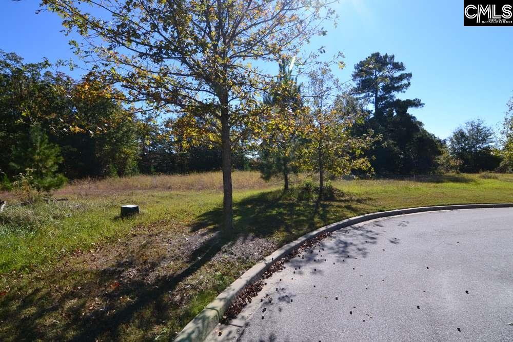6 Blythe View Court UNIT #14 Blythewood, SC 29016