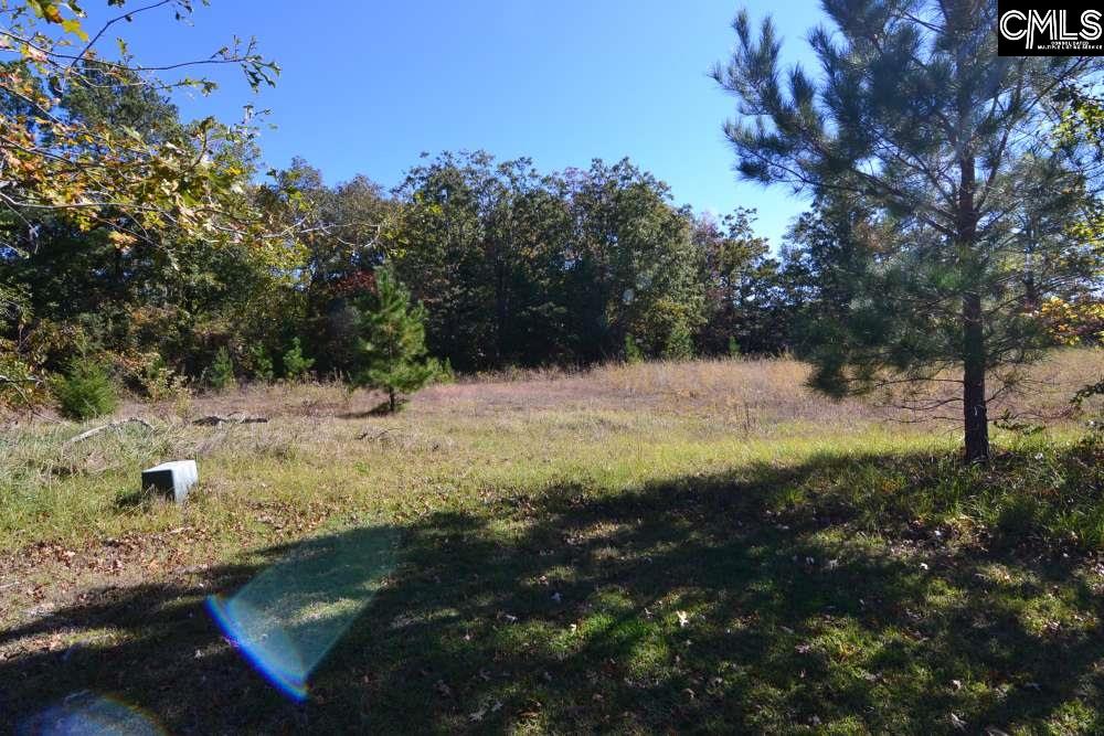 6 Blythe View Court UNIT #14 Blythewood, SC 29016