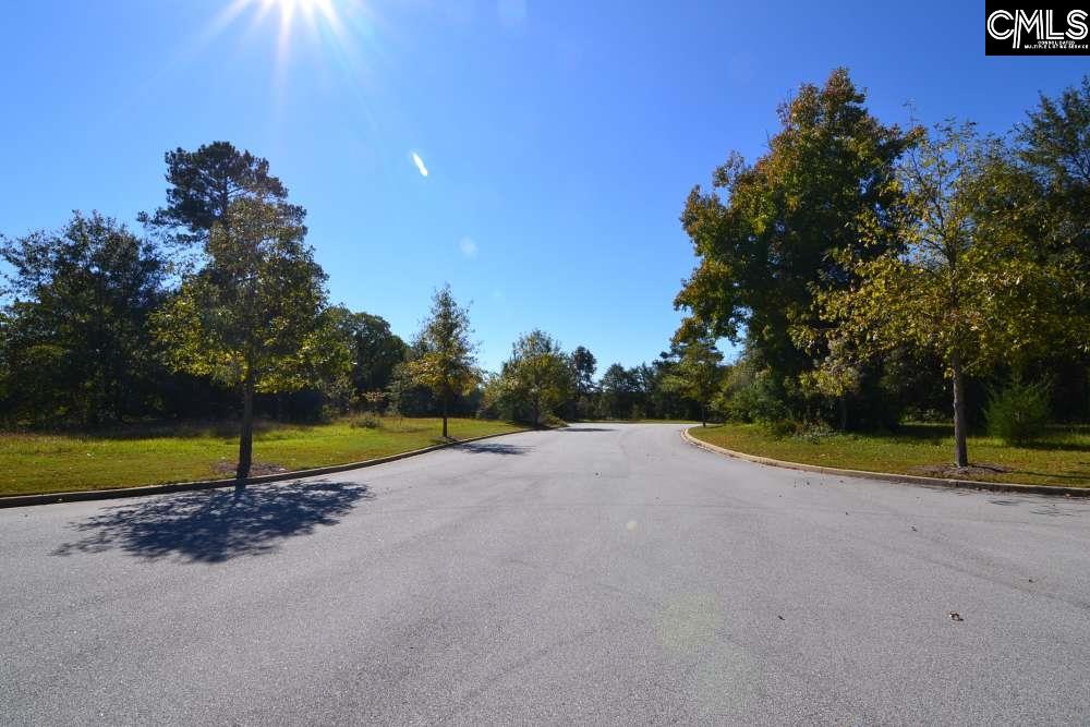 6 Blythe View Court UNIT #14 Blythewood, SC 29016